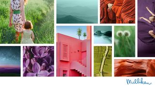 Inspirations from nature 