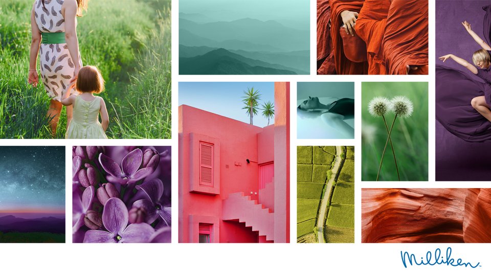 Inspirations from nature help Milliken’s ColorDirection 2021 sing in Harmonic Synergy
