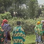 Plastikowa kontrabanda