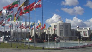 Targi MSV - ofiara korona