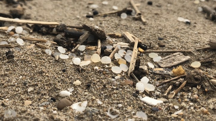 OCS becomes an intrinsic part of PlasticsEurope’s DNA