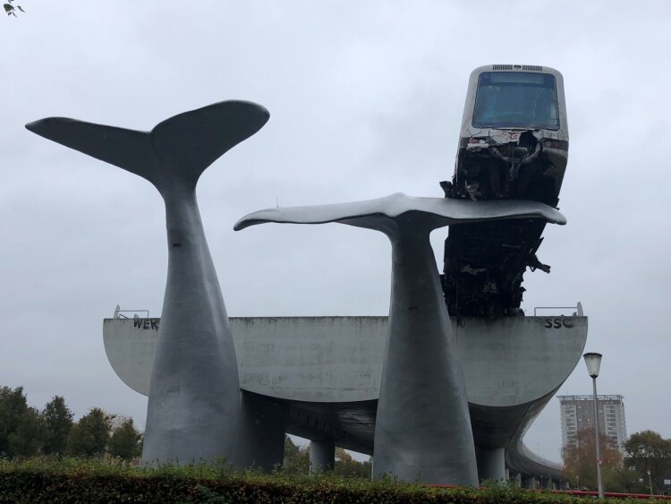 solico-whale-tail-2-20201102135959-1