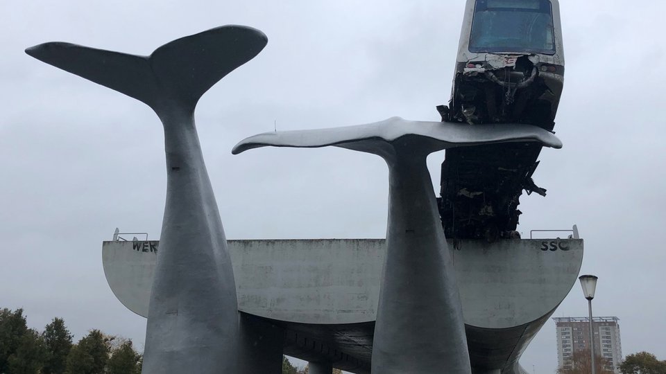 Rotterdam: Pociąg metra utknął na ogonie wieloryba