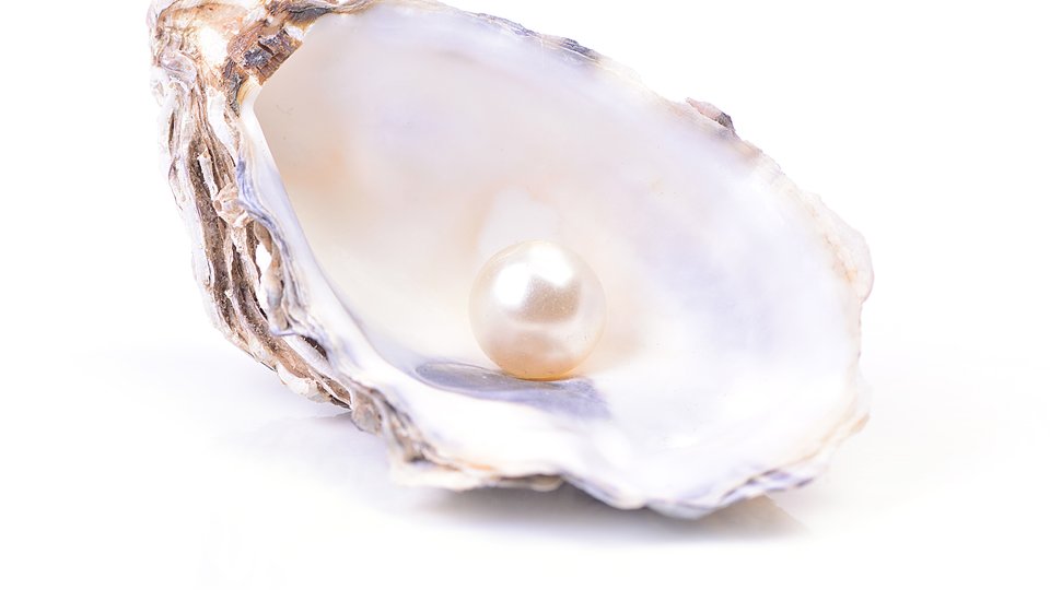 Ampacet introduces PEARL 368 cavitating masterbatch for premium quality white-opaque BOPP film