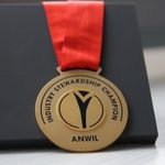 Anwil S.A. kolejny raz...
