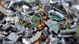 WEEE recycler takes delivery of fourth Untha shredder 