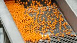 Lanxess raises prices for compounds