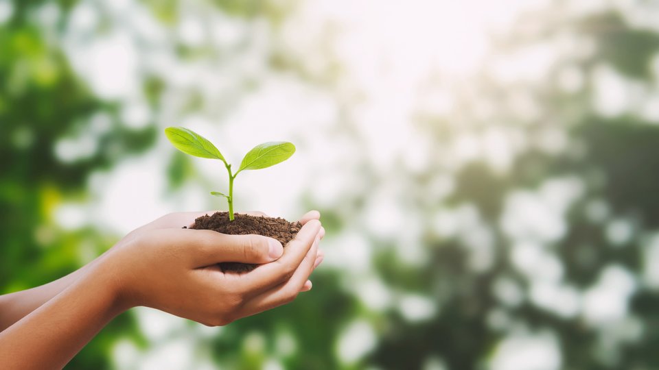 SABIC debuts a novel bio-based LNP