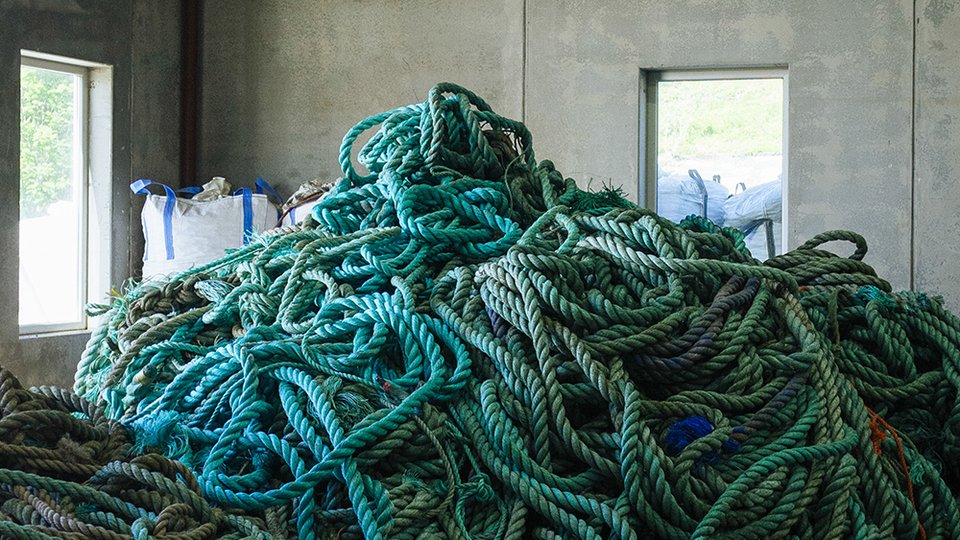 Antibacterial food trays created using fishing industry waste