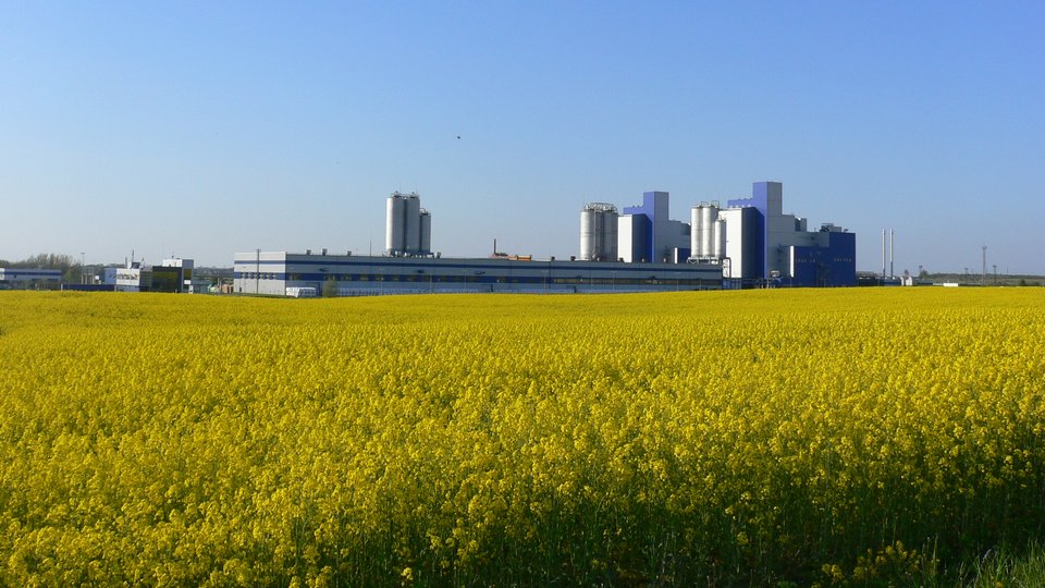 Neo Group results impacted by raw materials and supply chain disruption