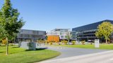 Engel back on growth course