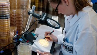 LANXESS będzie jednym z n
