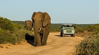 South Africa leading the 