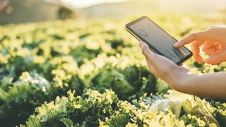 SABIC announces bio-based