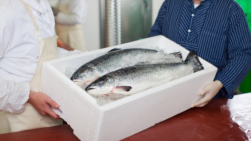 Design for Recycling Guidelines for EPS fish boxes and white goods