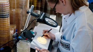 LANXESS zwiększa...