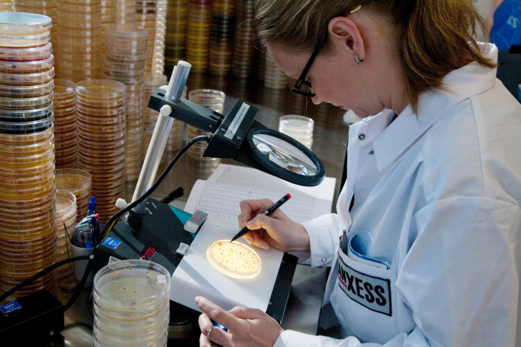 lanxess-preventol-01