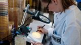 LANXESS expands capacity of Preventol 