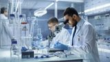 Grupa Azoty Puławy kończy prace nad technologią otrzymywania ε-kaprolaktonu