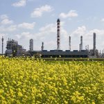 Grupa MOL: rekordowy...