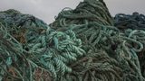 Hexpol TPE collaborates with Plastix to expand the use of Maritime Waste Recyclate