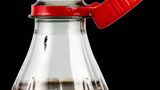Digital, profitable, sustainable. SACMI’s roadmap for a new ‘green deal’ in the rigid packaging sector
