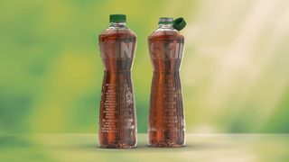 The future of sustainable