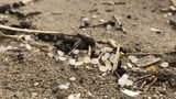 Plastics Europe and EuPC launch European Operation Clean Sweep certification scheme
