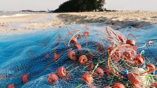 From the sea into the tun