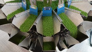 Multihead weigher handles
