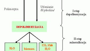 D2W - ekologiczne...