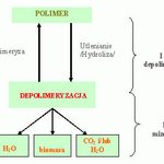 D2W - ekologiczne...