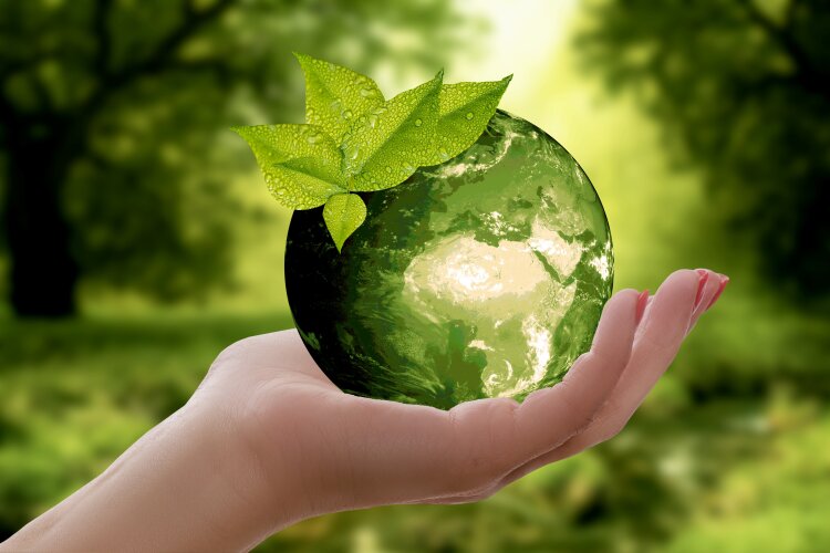 pixabay-nature-3289812