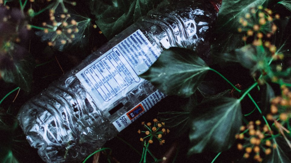 Apel o rządowe poparcie dla zmian ustawy o systemie kaucyjnym