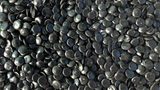 Polish traders offer discounts on polyolefins