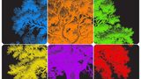 Color etching technology for dark plastic surfaces