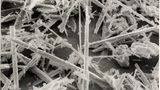 Improved technical properties of Recyclates and Virgin Polymers  through Tremin 939
