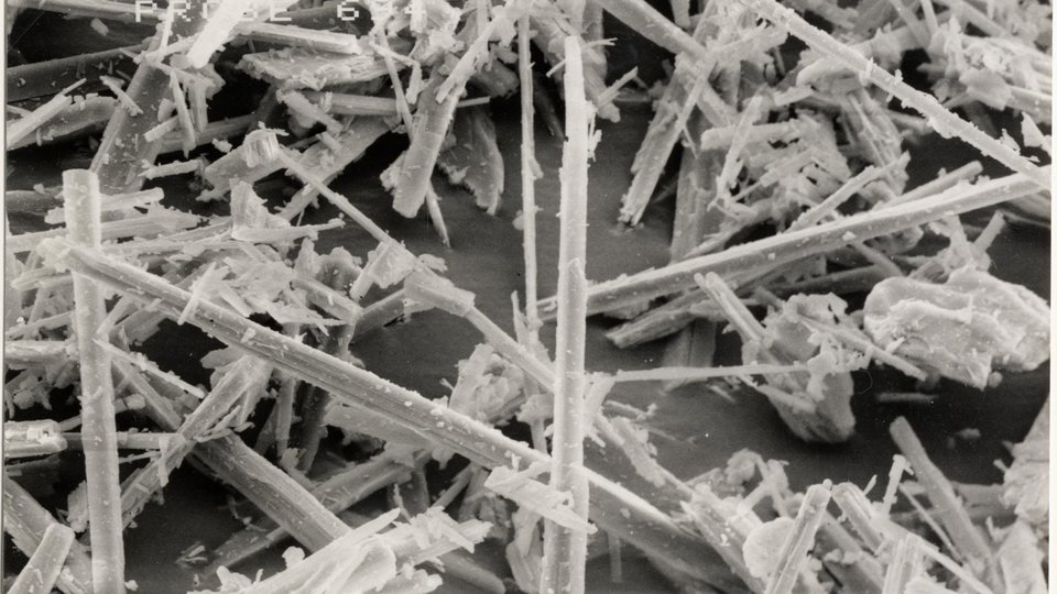 Improved technical properties of Recyclates and Virgin Polymers  through Tremin 939