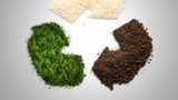 An industry-first: BASF is expanding its Biopolymers portfolio