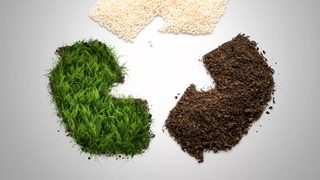 An industry-first: BASF i
