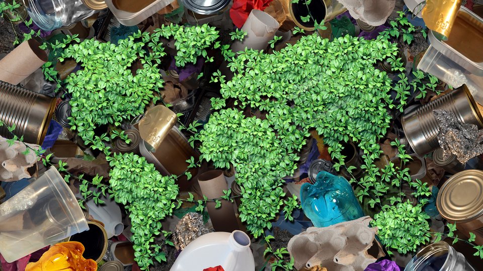 U.S. Plastics Pact Launches Roadmap Transforming Packaging and Supply Chains Across Industries