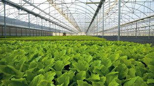 BASF wprowadza przełomowy