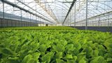 BASF launches game-changing heat and light stabilizer Tinuvin NOR 211 AR