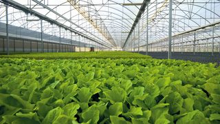 BASF wprowadza przełomowy