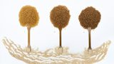 New product line of biobased and biomass-balanced compounds