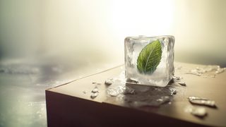 Bio-based hot melt adhesi