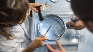 Mikroplastik w środowisku
