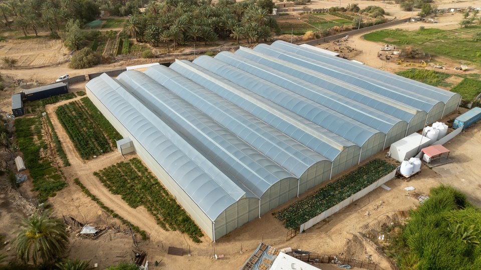 Sabic teams up with iyris and Napco to create high-tech greenhouse roofing solution