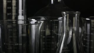 Biesterfeld and Anomera I