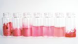 Archroma joins BioCircular Materials Alliance